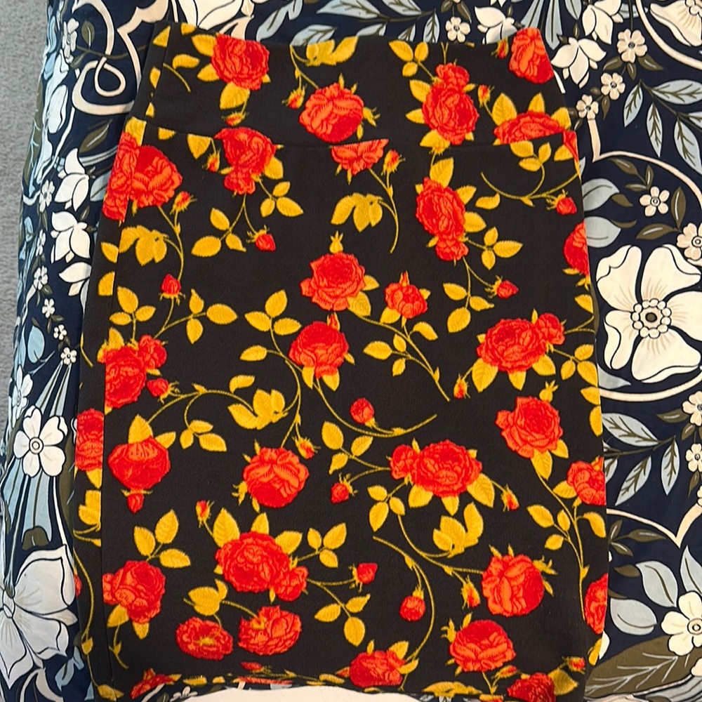 LulaRoe multi style skirt
